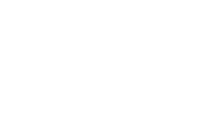 ref_dueren_i.png