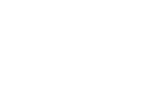 ref_prader_i.png