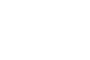 ref_caceis_i.png